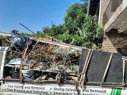 Best Hoarding Cleanup  in Owensville, MO